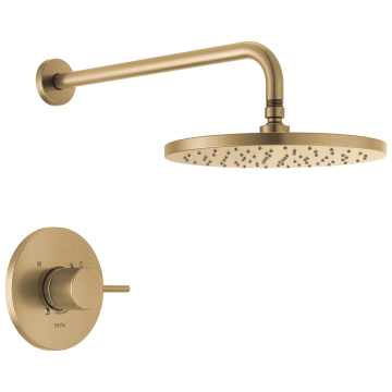 Trim, Brazo y Regadera Modern Champange Bronze